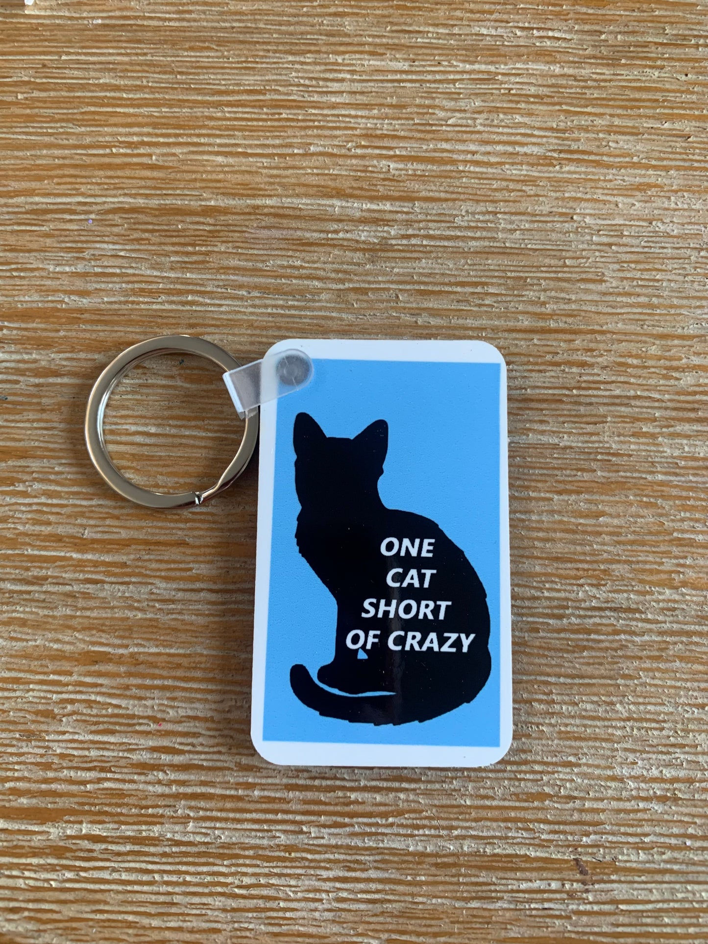 Funny pet theme keychain for the pawrents