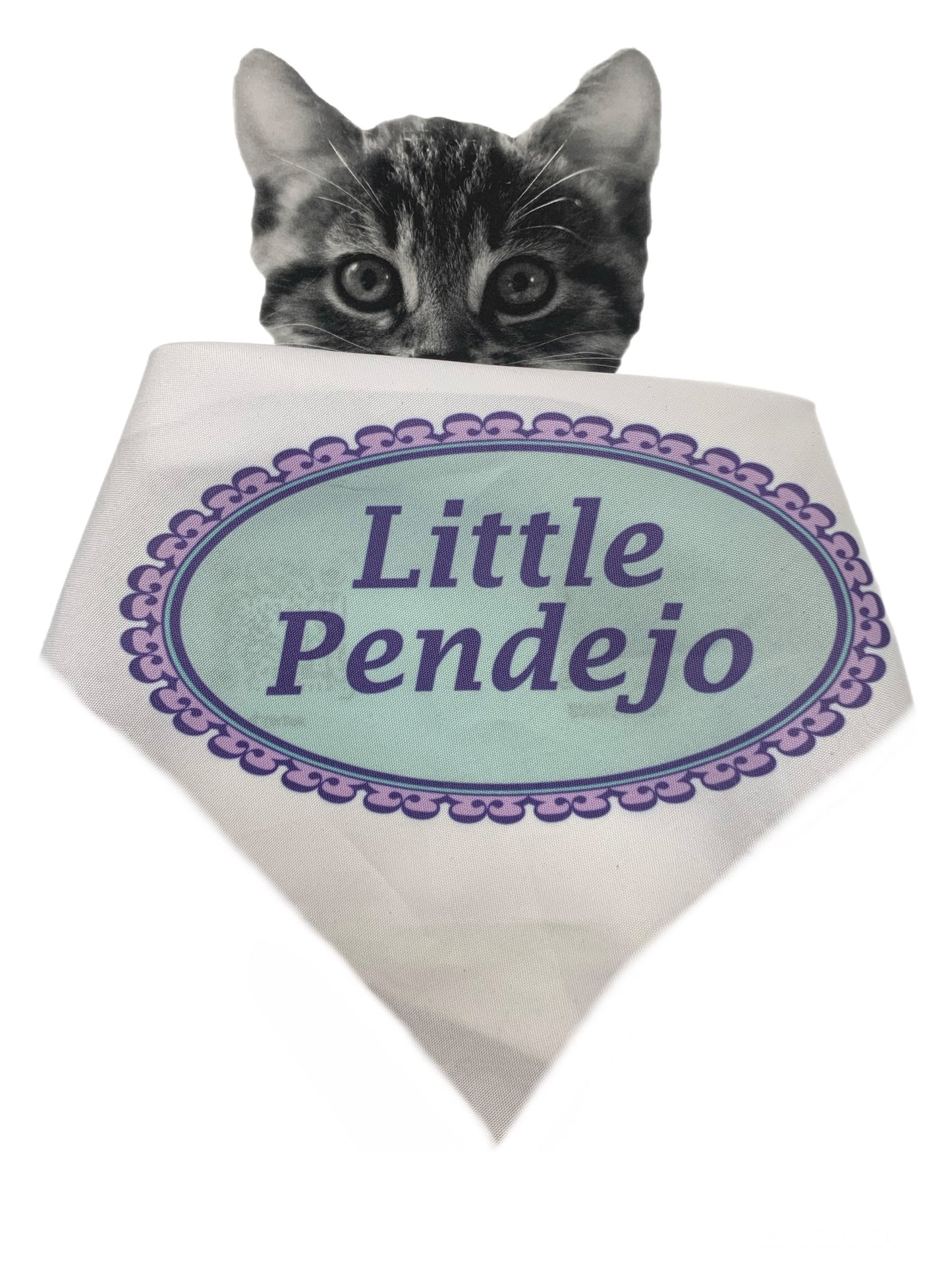 FunBoops Dog bandana 🐾Little Pendejo🐾