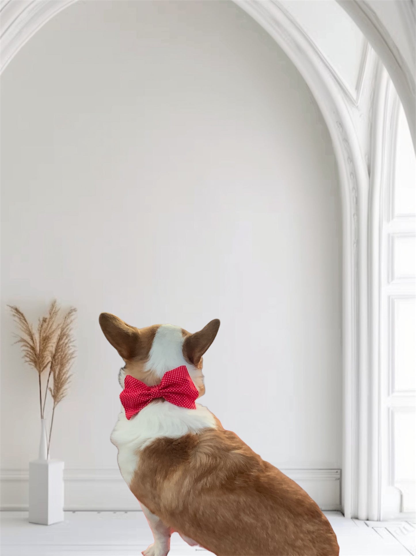 Valentine’s Exclusive: Handmade Cotton Dog Collar with Detachable Bow Tie. Red and white polka dots. Metal buckle