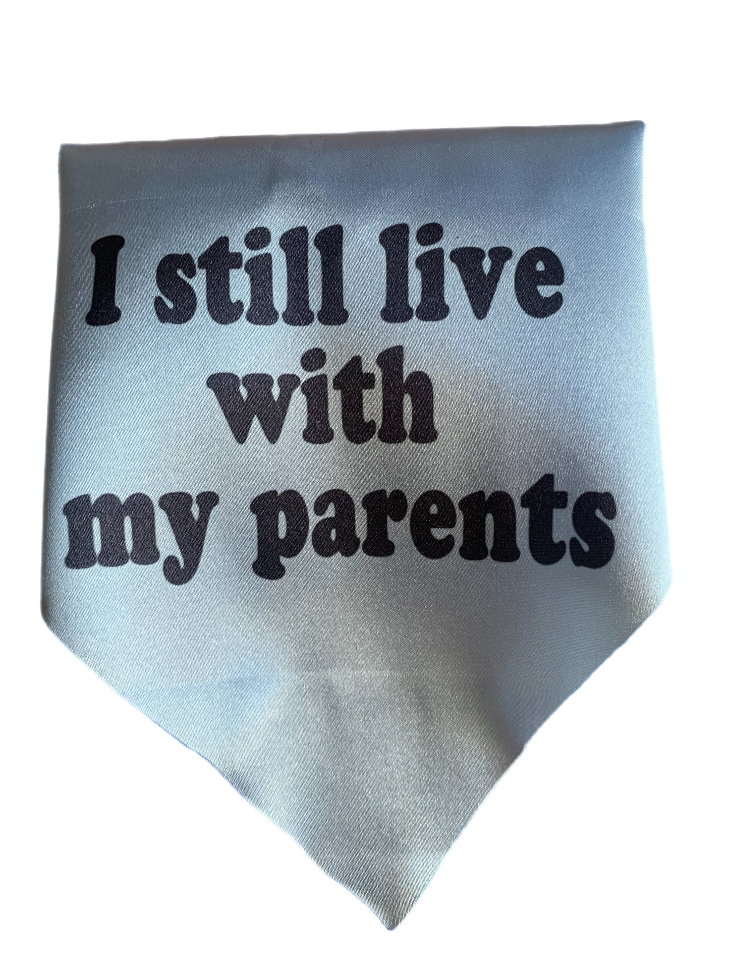 FunBoops Dog bandanas. I still live with my parents.