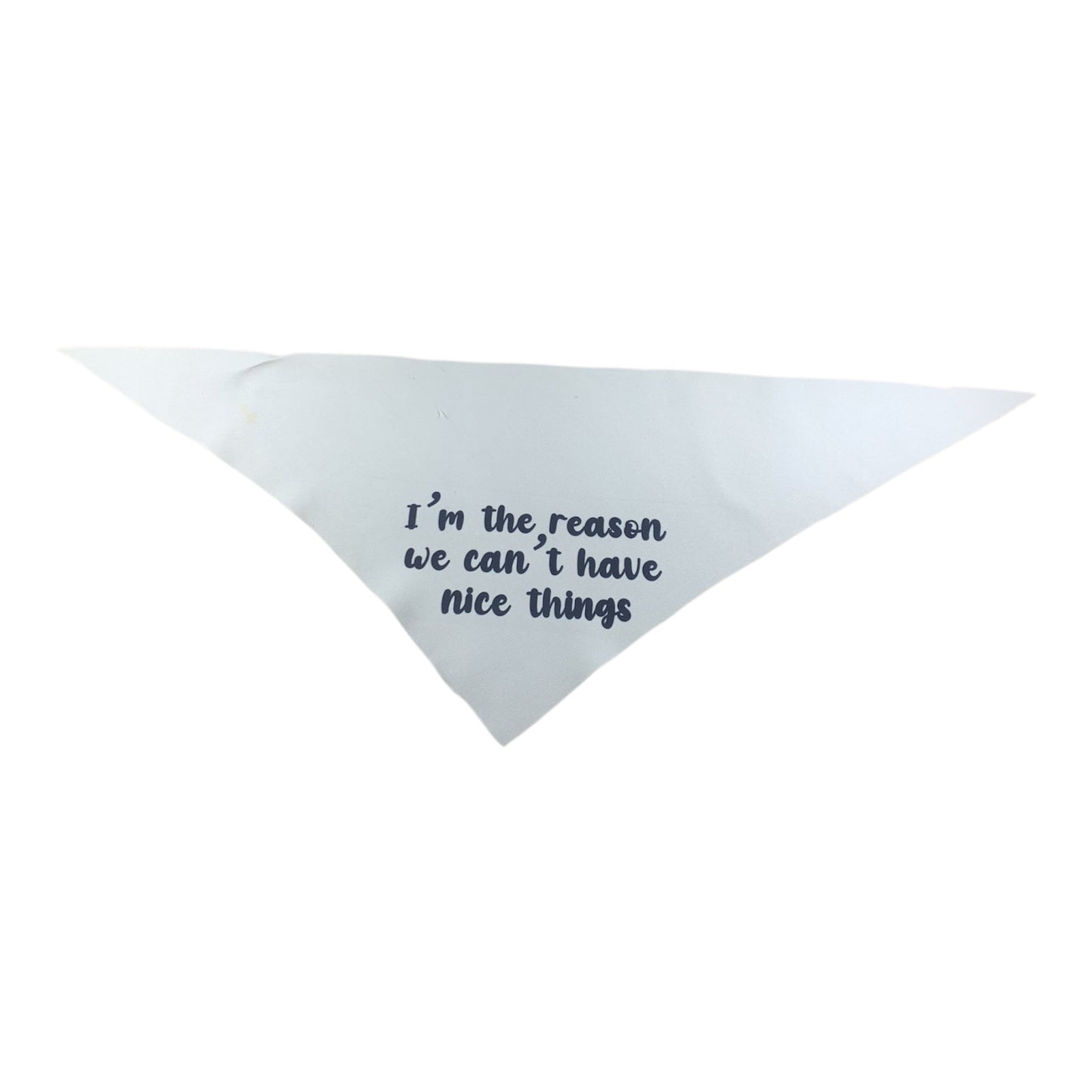 FunBoops Dog bandanas. The reason