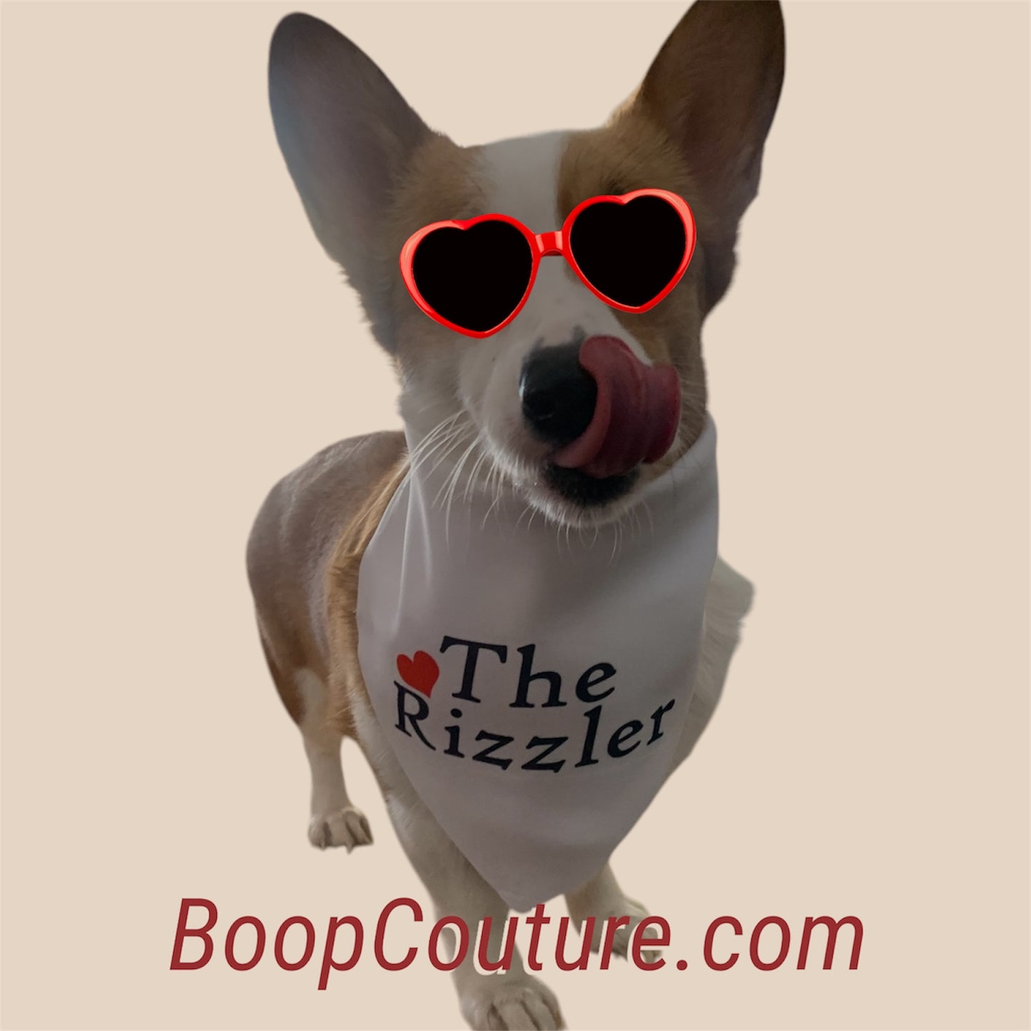 FunBoop dog bandana “The Rizzler”