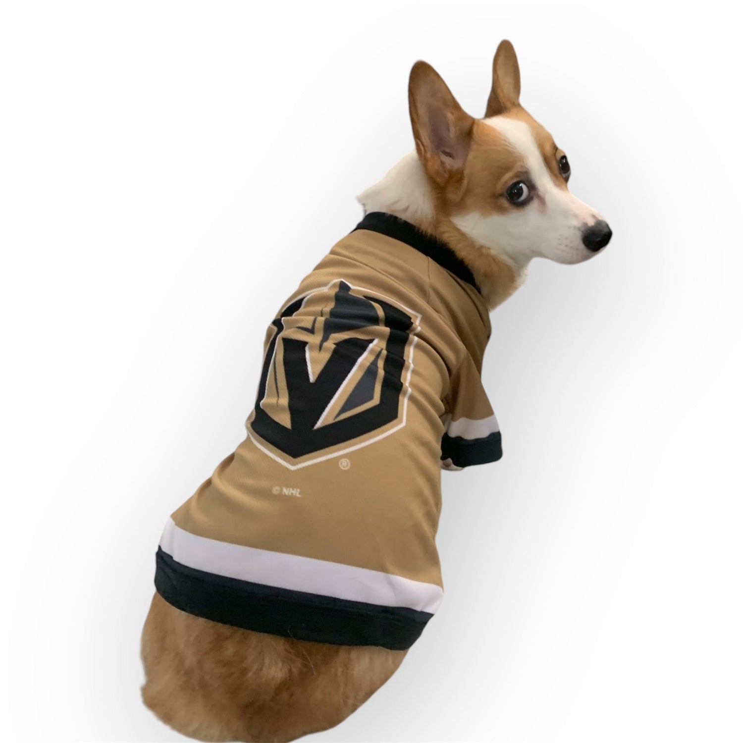 licensed vegas golden knight jersey for dogs