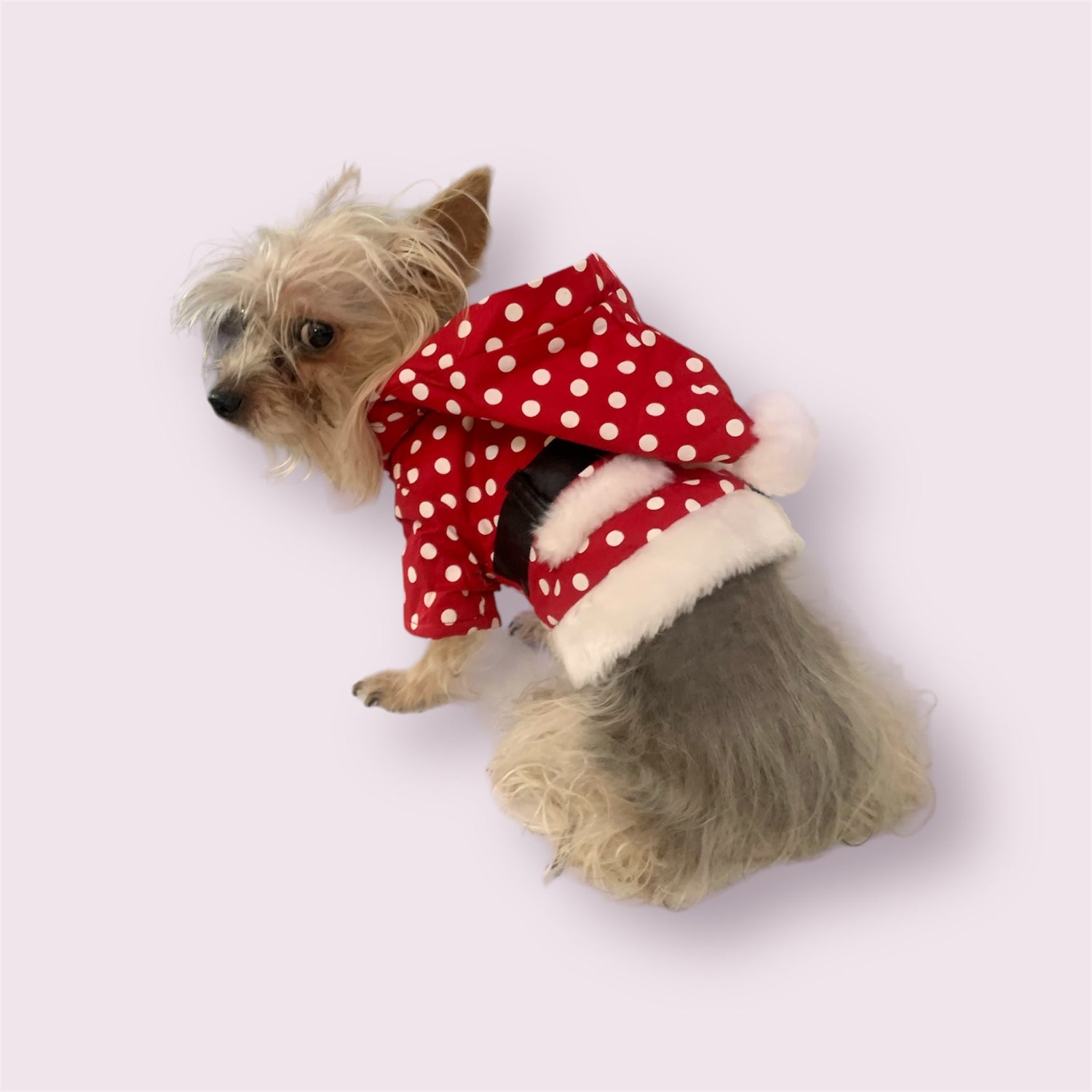 Christmas Pet Clothes - Christmas Clothes for Dogs