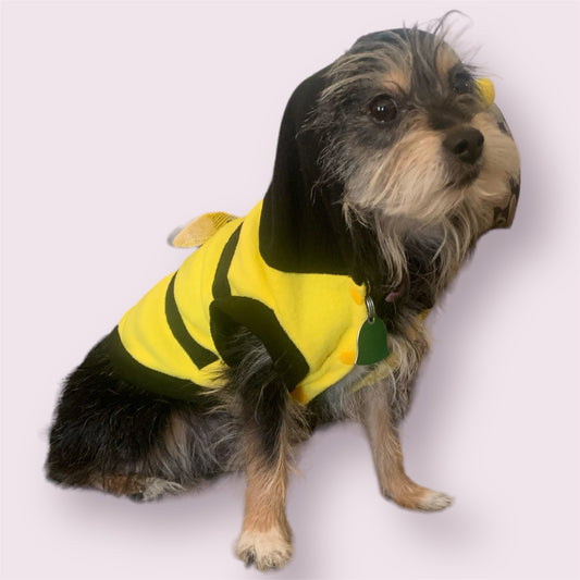 Yellow bee hoodie for dogs and cats with wings