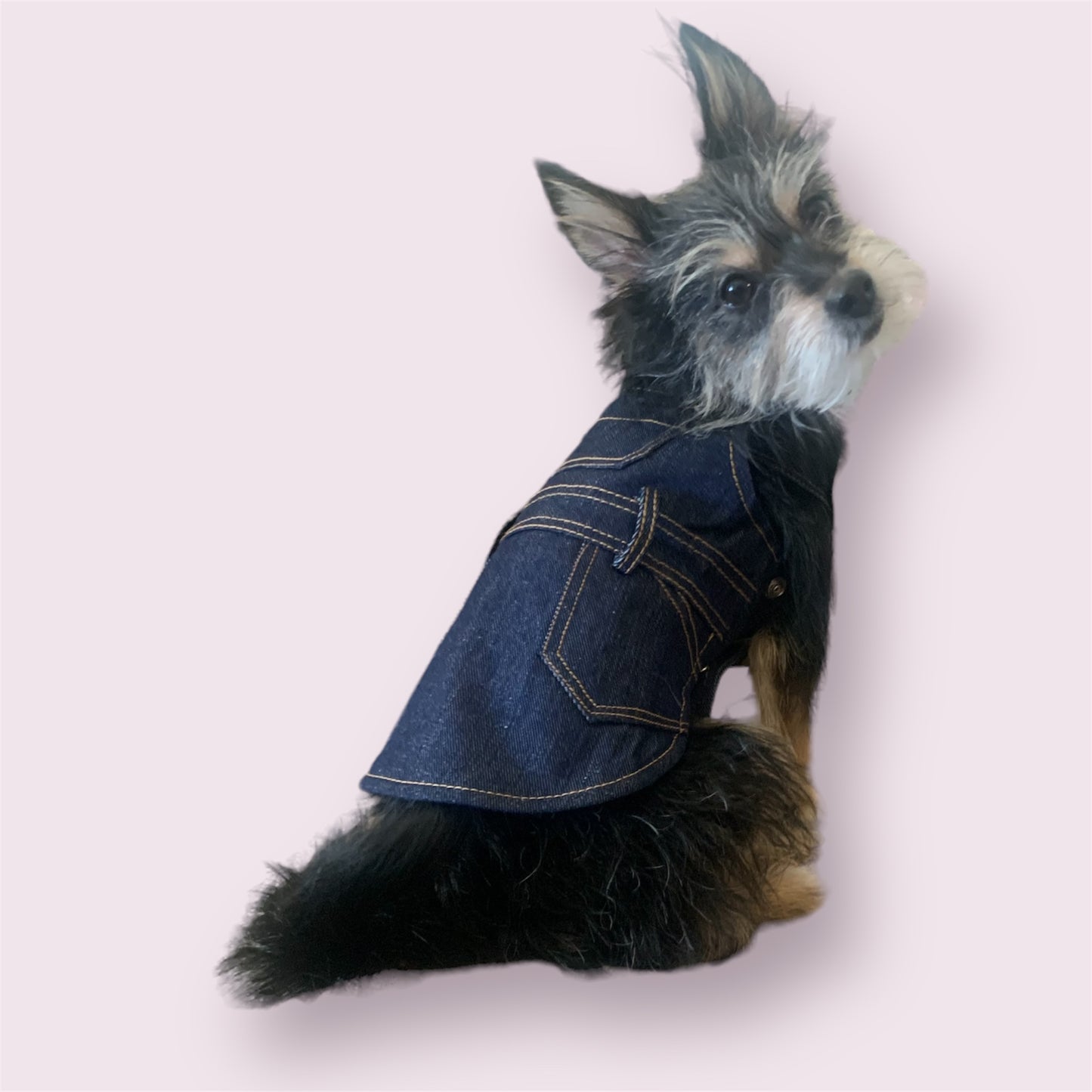 cute overall for dogs denim with pocket