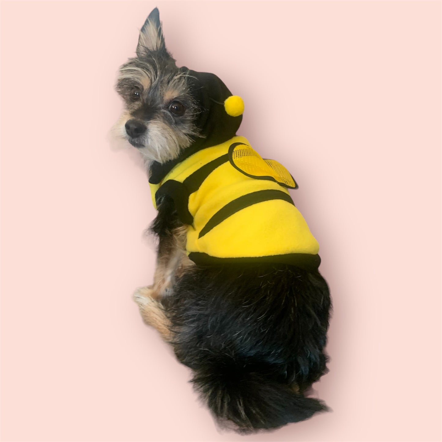 Yellow bee hoodie for dogs and cats with wings