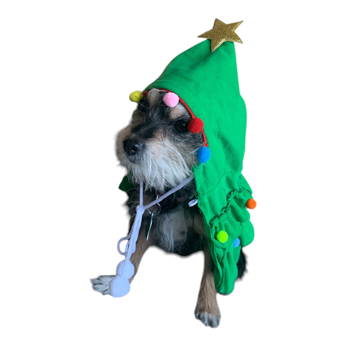 Christmas tree dog hoodie. Dog cape.