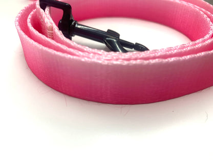 Leash pink ombre