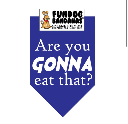 Fundog bandana Are you gonna eat that? funny cats dogs pets