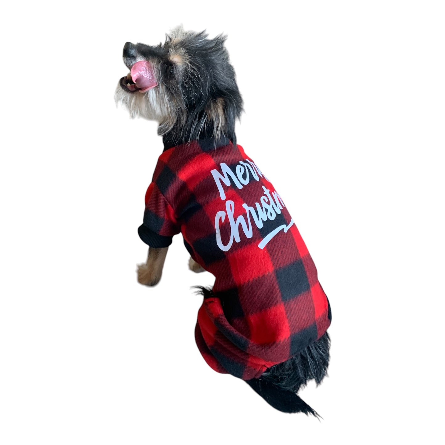 Adorable dog pajama. Merry christmas.