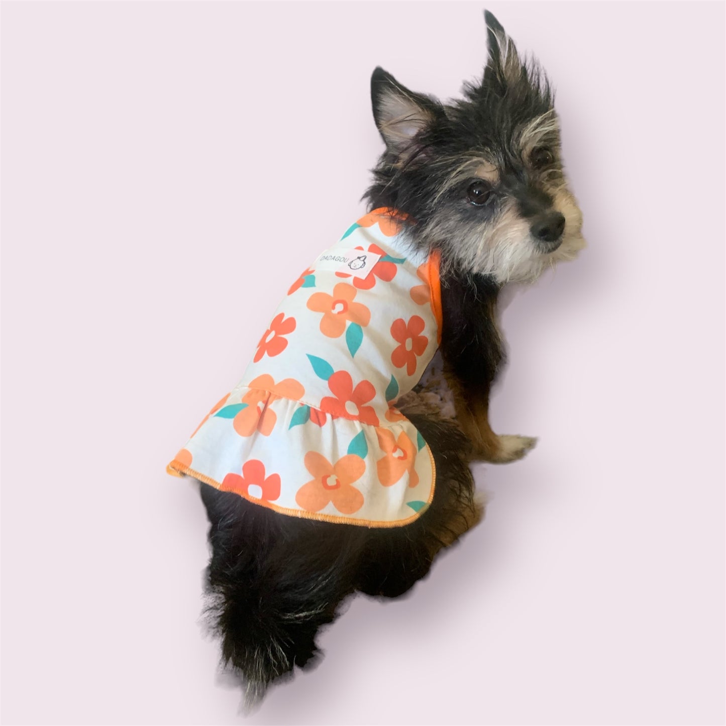 floral orange dress for dogs