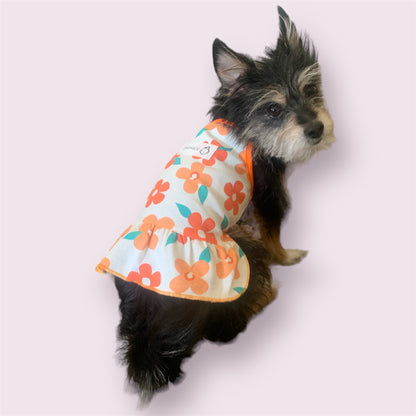 floral orange dress for dogs