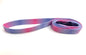 Leash pink & blueish