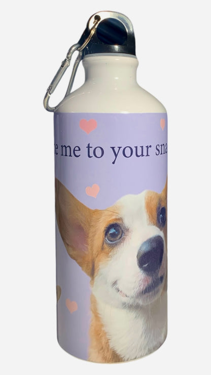 dog water bottle 