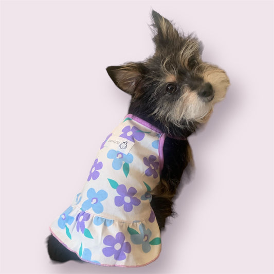 summer dress for dogs and cats