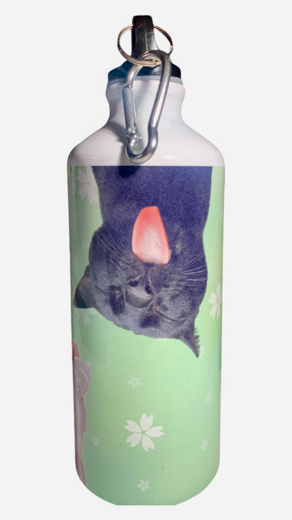 Water bottle for the pawrents You are purrrrfect