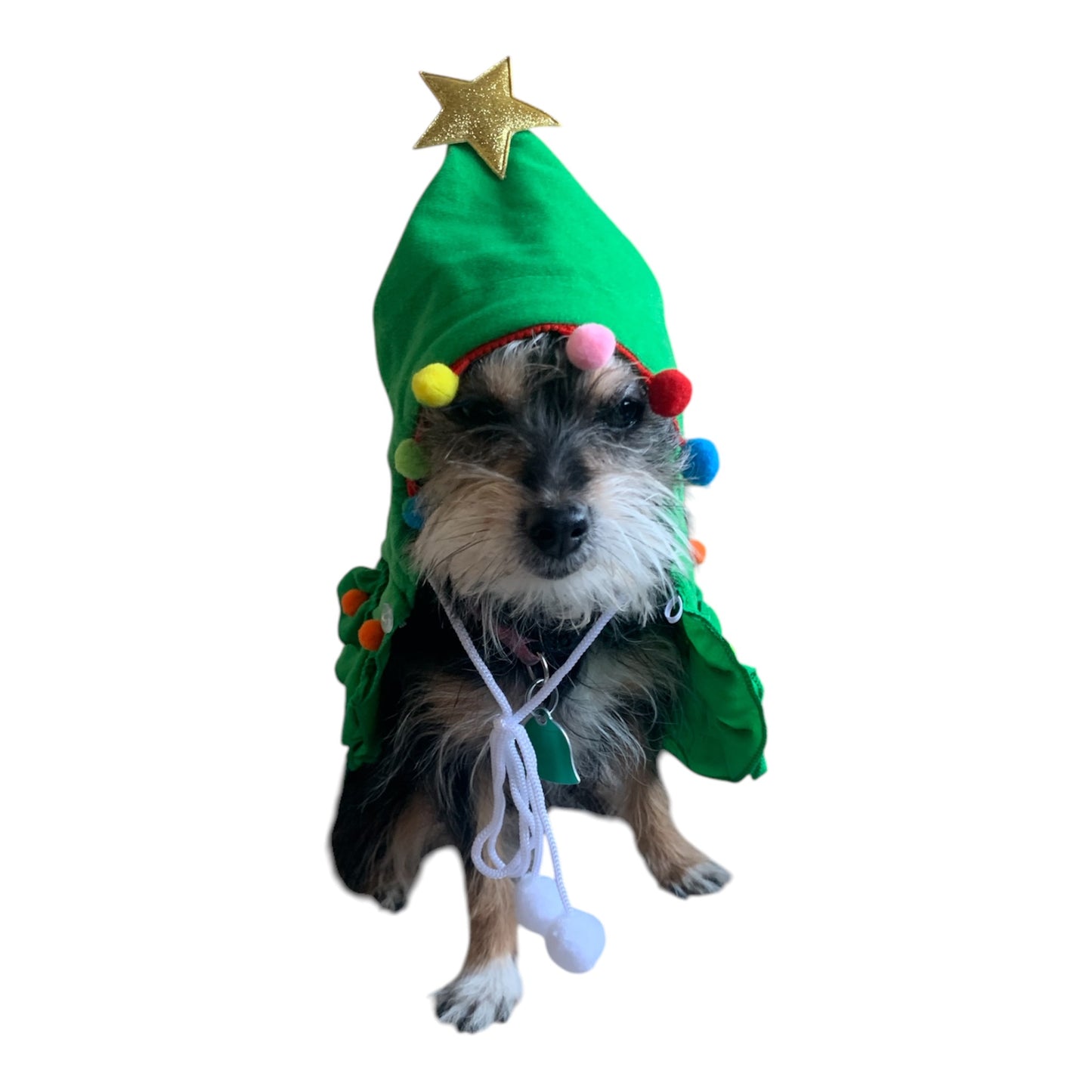 Christmas tree dog hoodie. Dog cape.