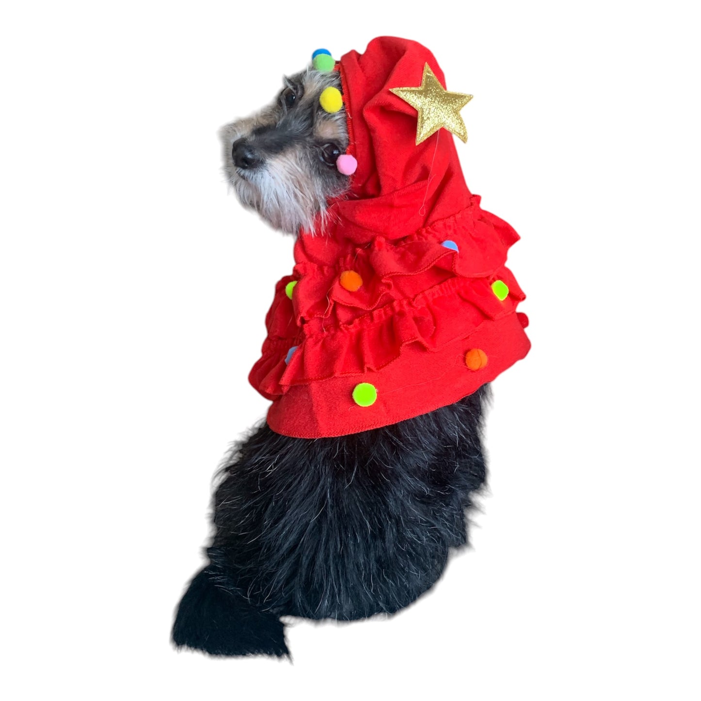 Christmas tree dog hoodie. Dog cape.