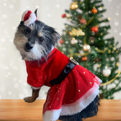 Dog Christmas dress with bow.