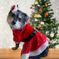 Dog Christmas dress with bow.