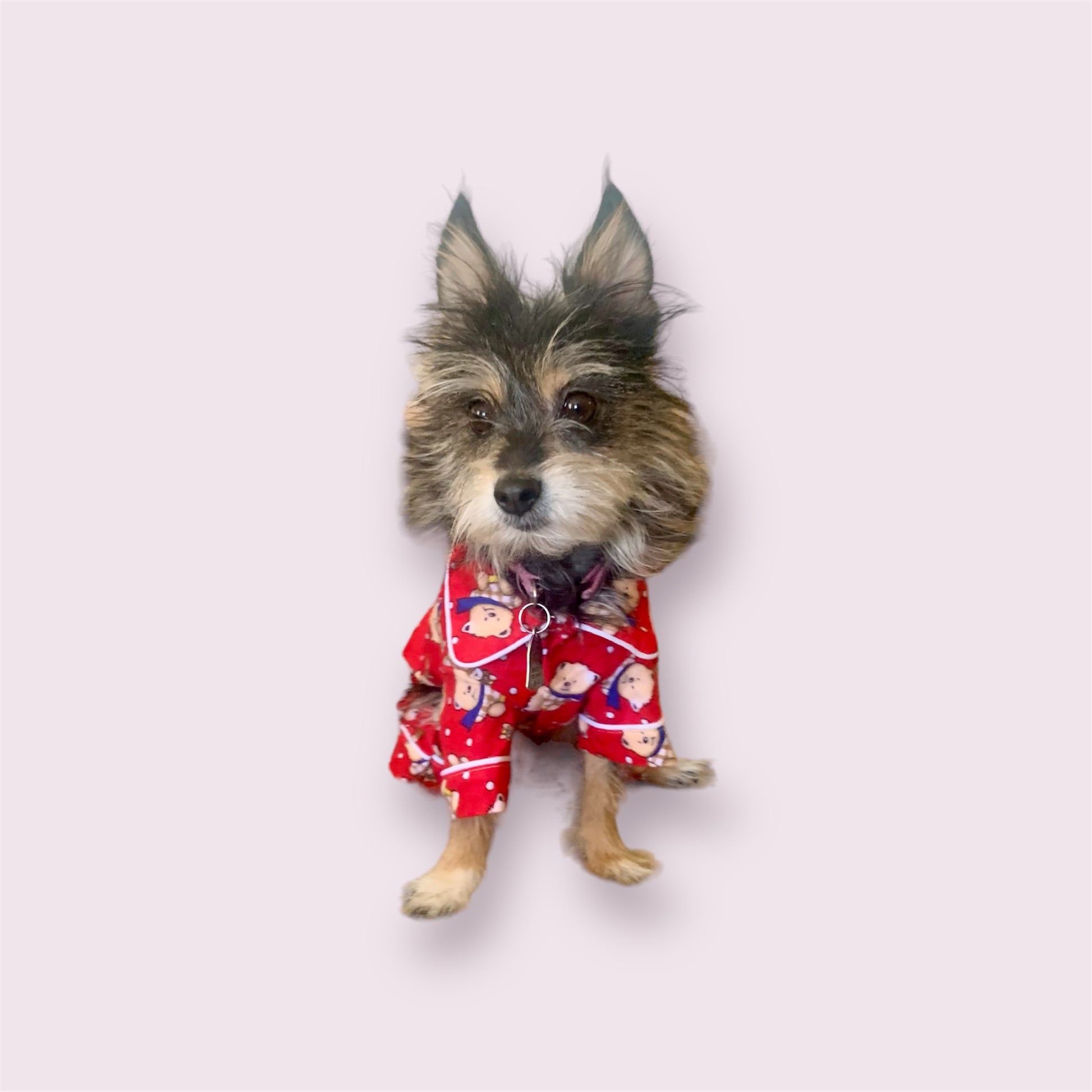 red pajama for dogs and cats with teddy bear design