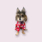 red pajama for dogs and cats with teddy bear design