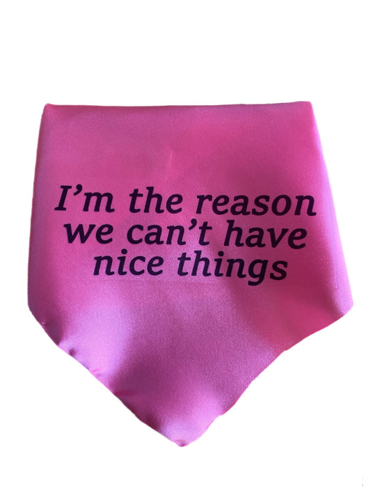 FunBoops Dog bandanas. The reason. Introductory price