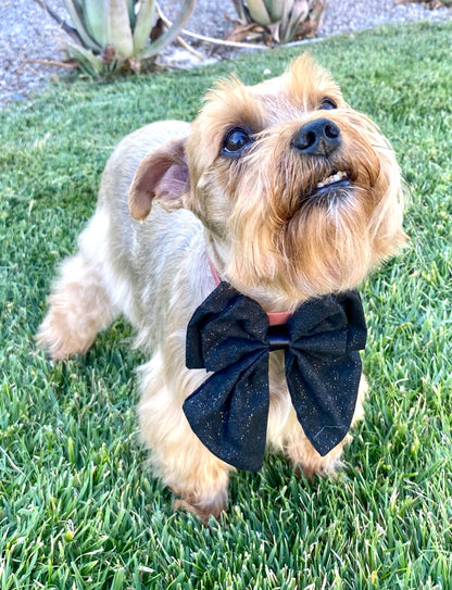 Oversized handmade dog bowtie black with shiny golden speckles