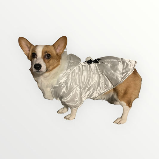 Dog winter jacket in white