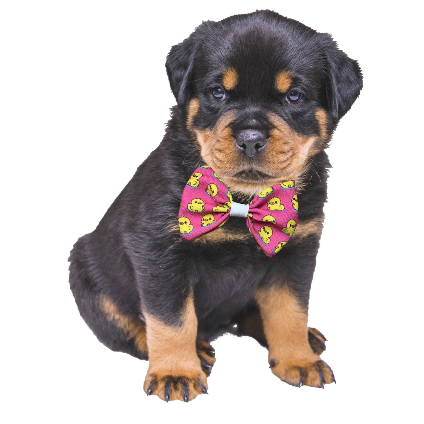 Handcrafted dog bowtie. Boopcouture exclusive duckie in pink.