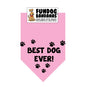 Close out sale. Dog bandana best dog ever cute friendship