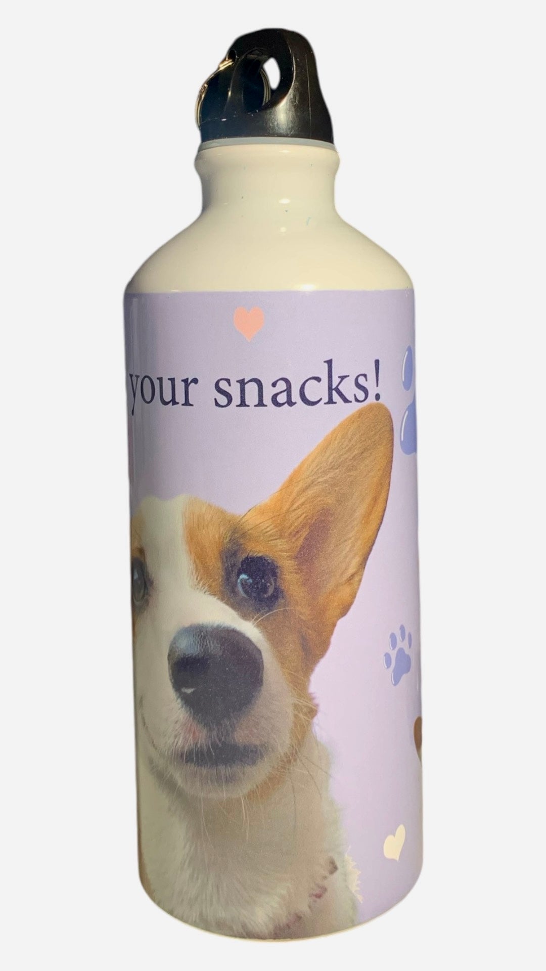 water bottle corgi