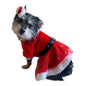 Dog Christmas dress with bow.