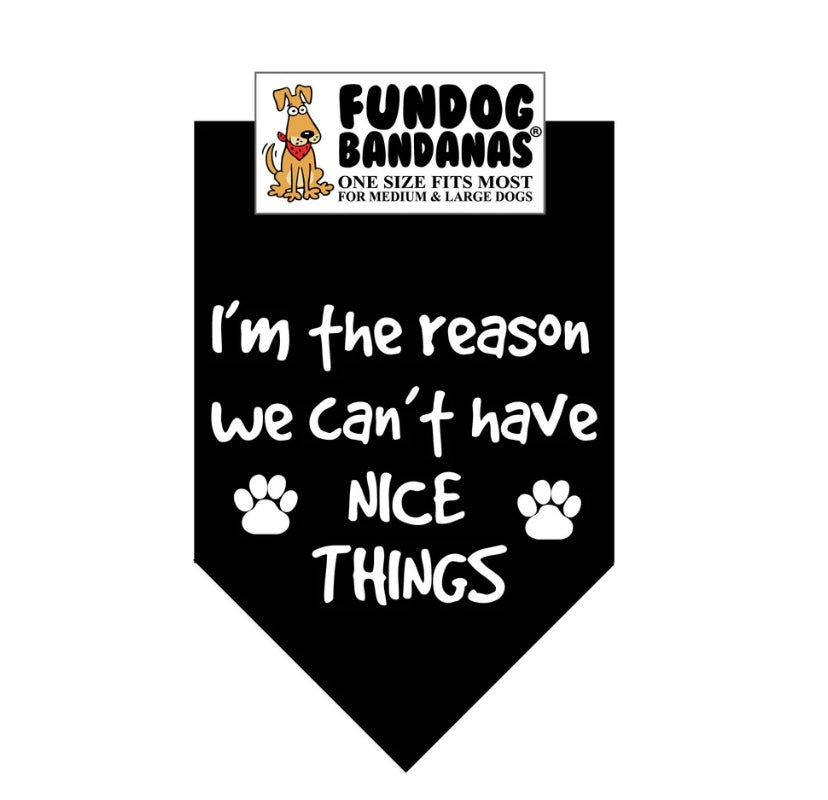 Close out. Fundog bandana I’m the reason we can’t have nice things dog cat. Final sale