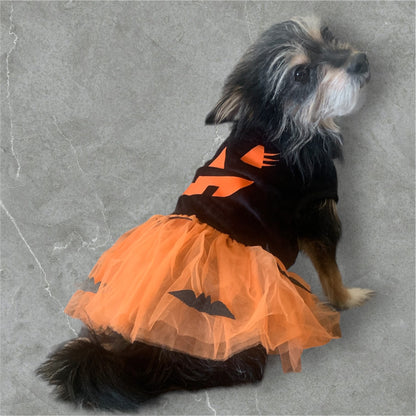 pumpkin and bats dress for dogs and cats