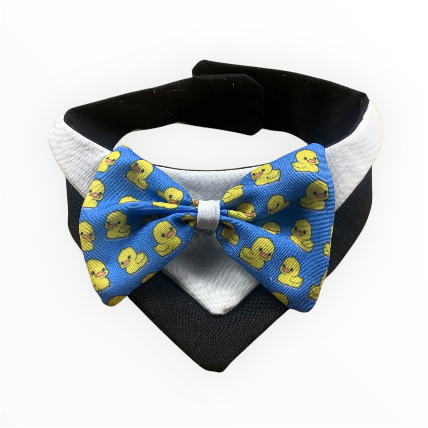 Handmade dog tuxedo with vibrant bowtie.