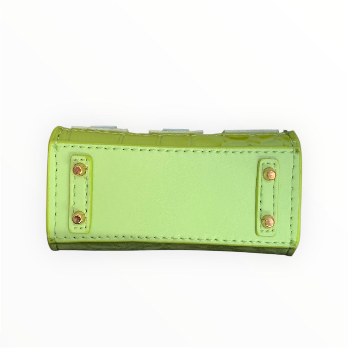 Green poopy bag holder for outings and walks with your dog. 