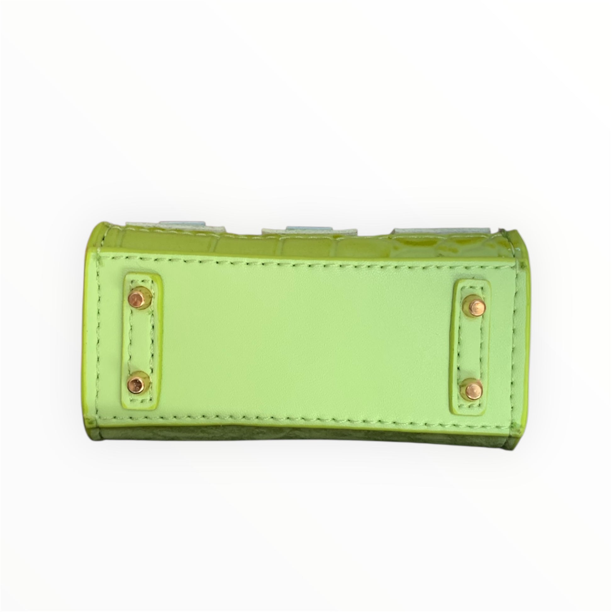Green poopy bag holder for outings and walks with your dog. 