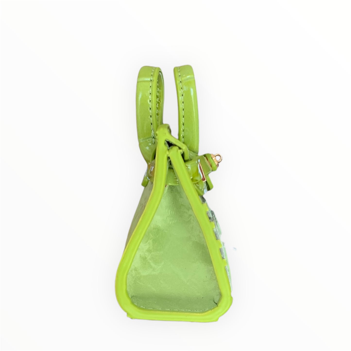 Green poopy bag holder for outings and walks with your dog. 