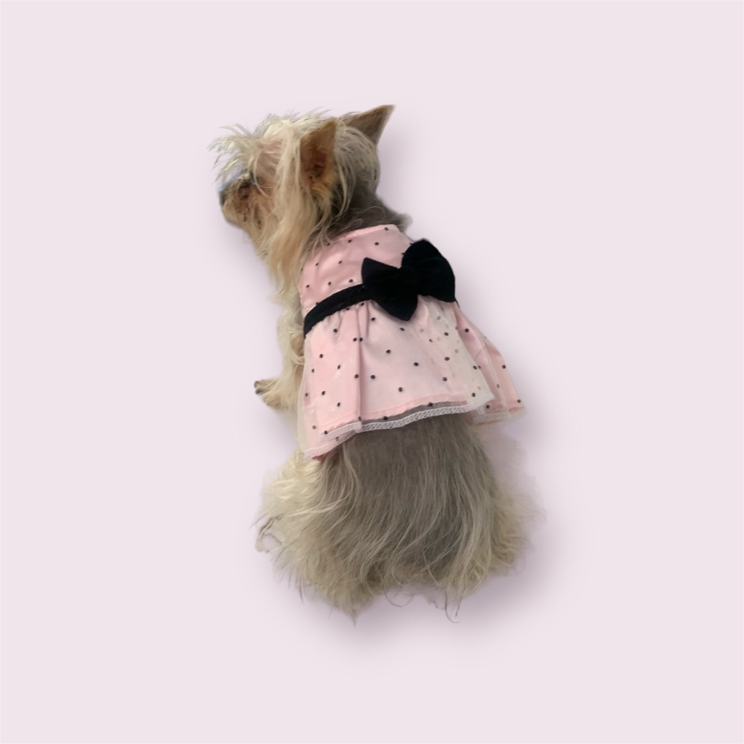 black bow dress for cats and dogs pink polka dot