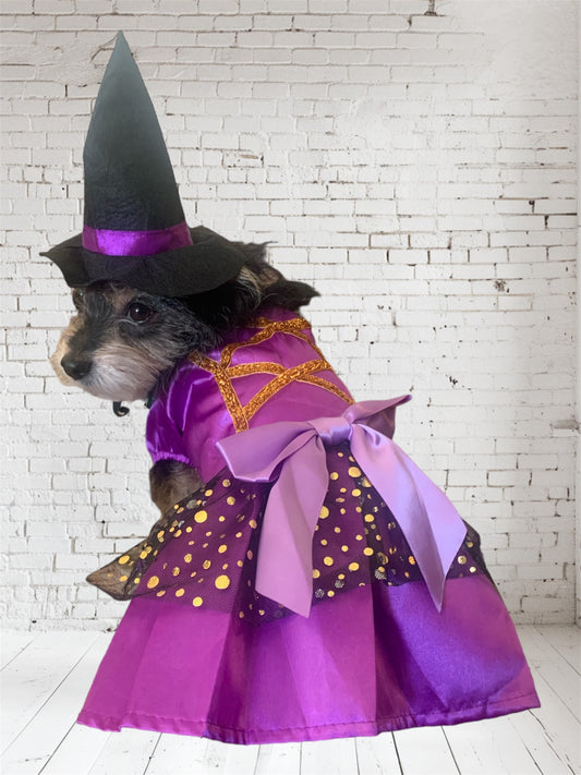 witch dress for dogs