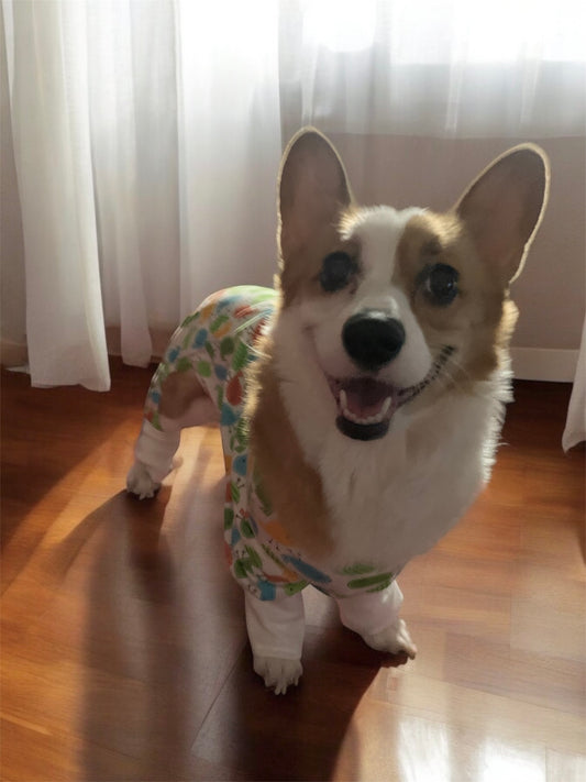 cute bird pajama for dogs and cats