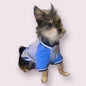 blue gray sweater for dogs doggie university