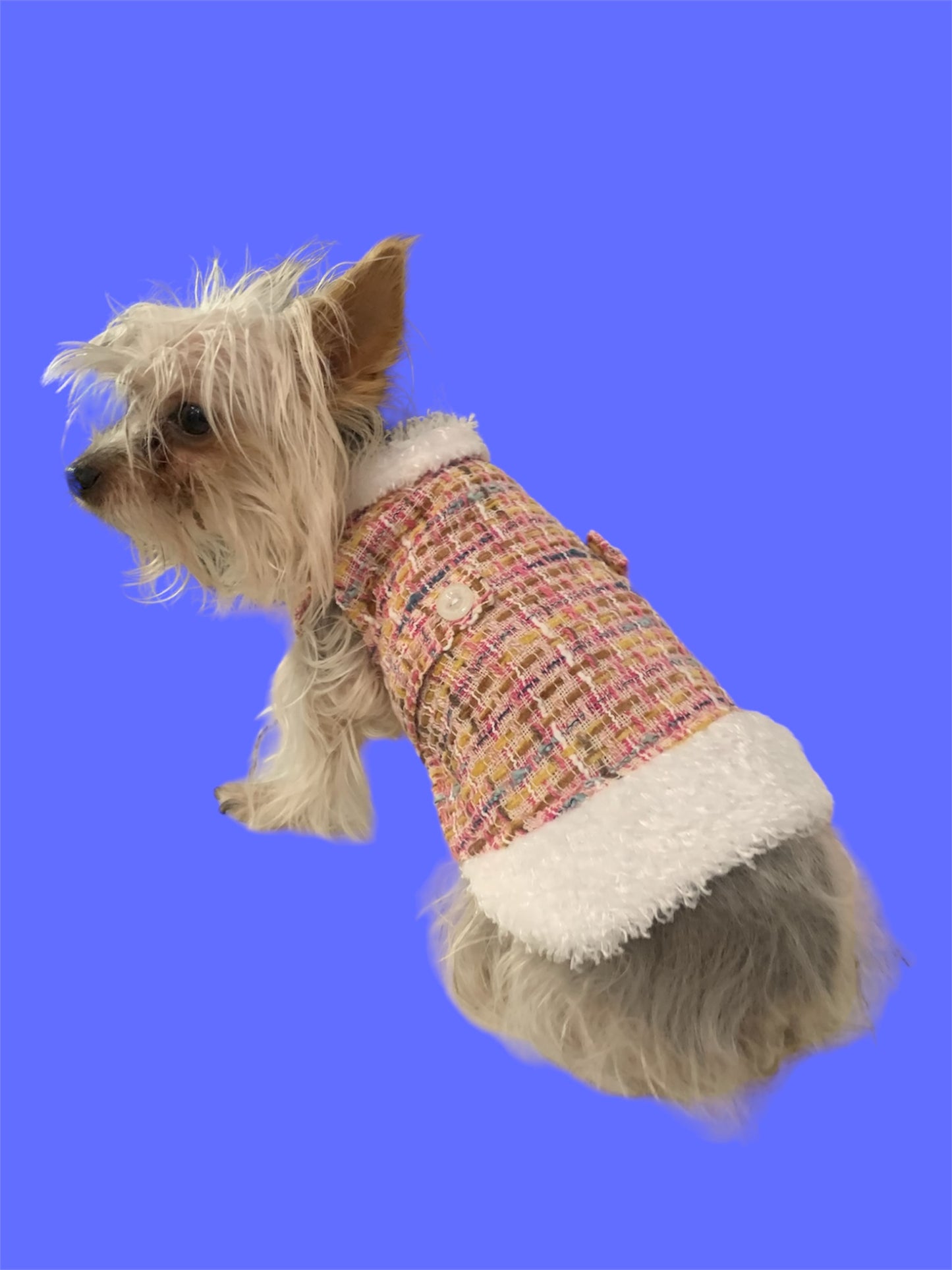 pink and white classic dress for small dogs or cat