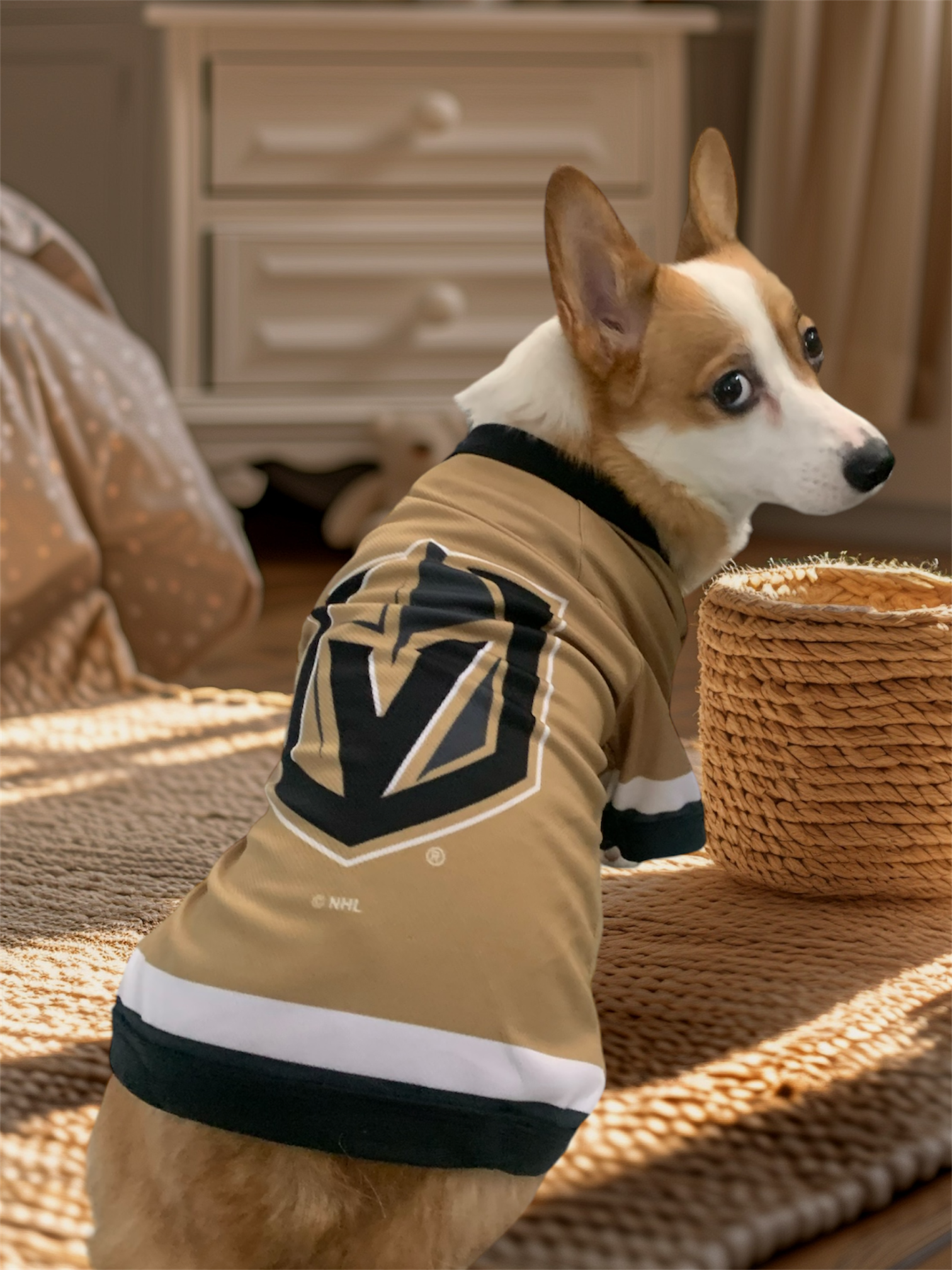 vgk licensed dog jersey corgi las vegas