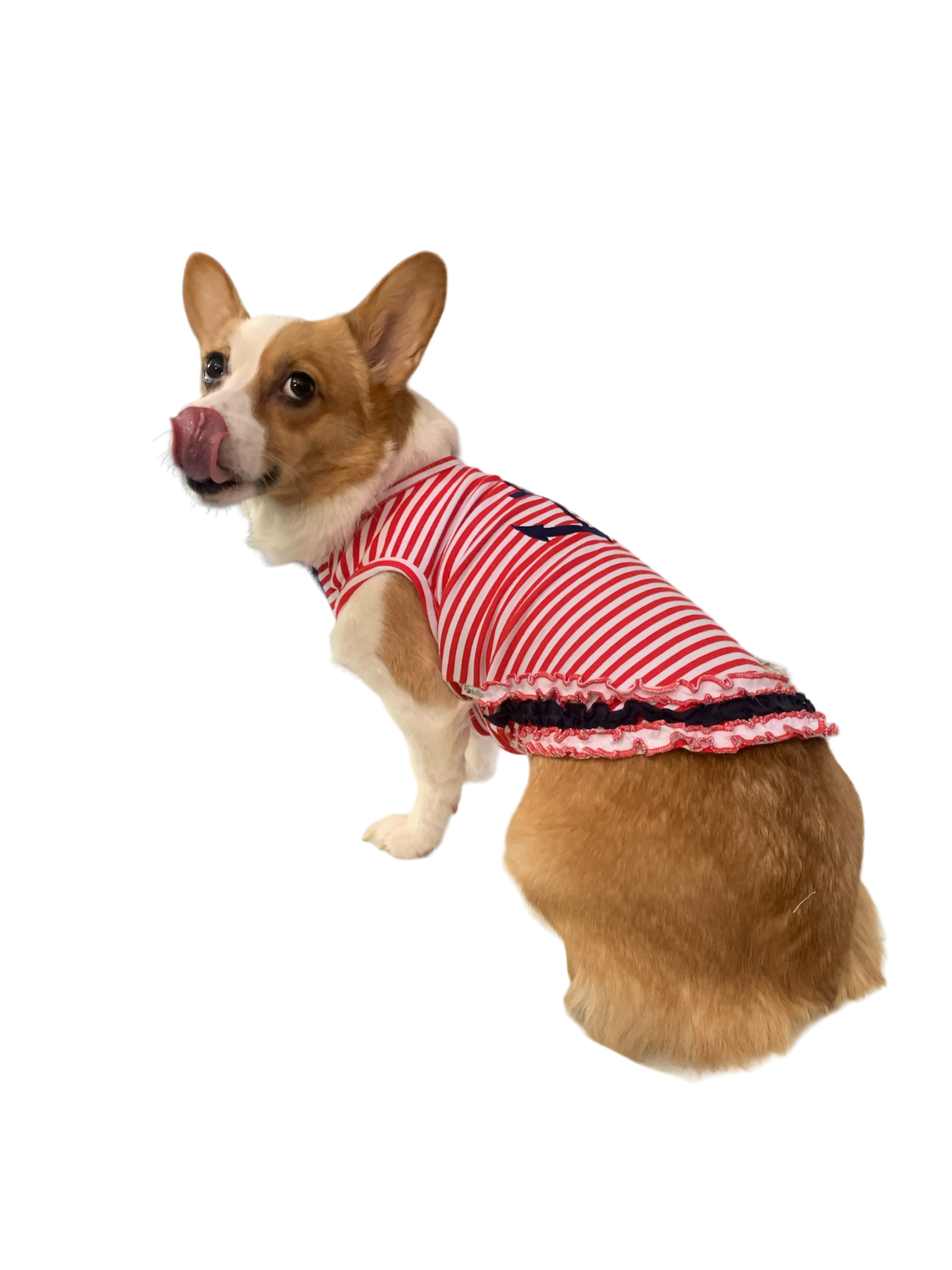 nautical shirt for cats and dogs