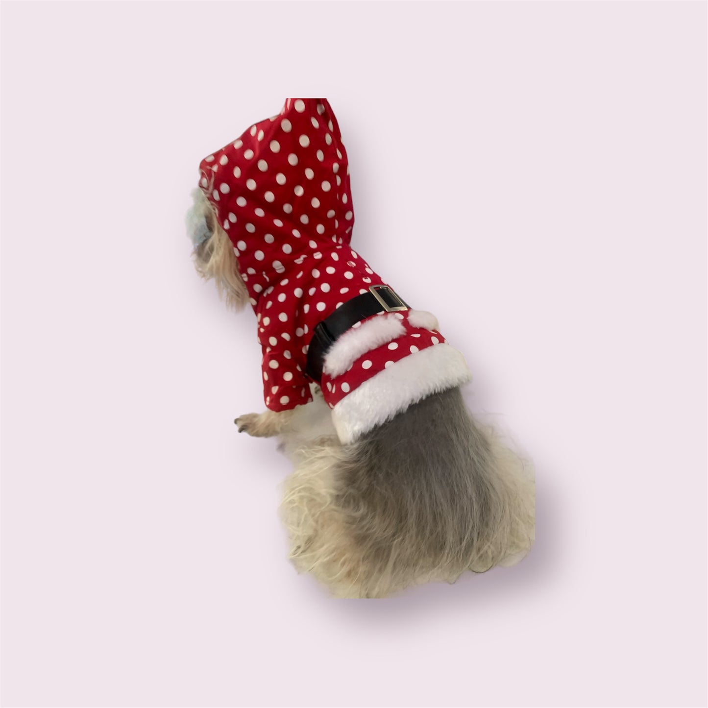 santa christmas hoodies for small dog or cat