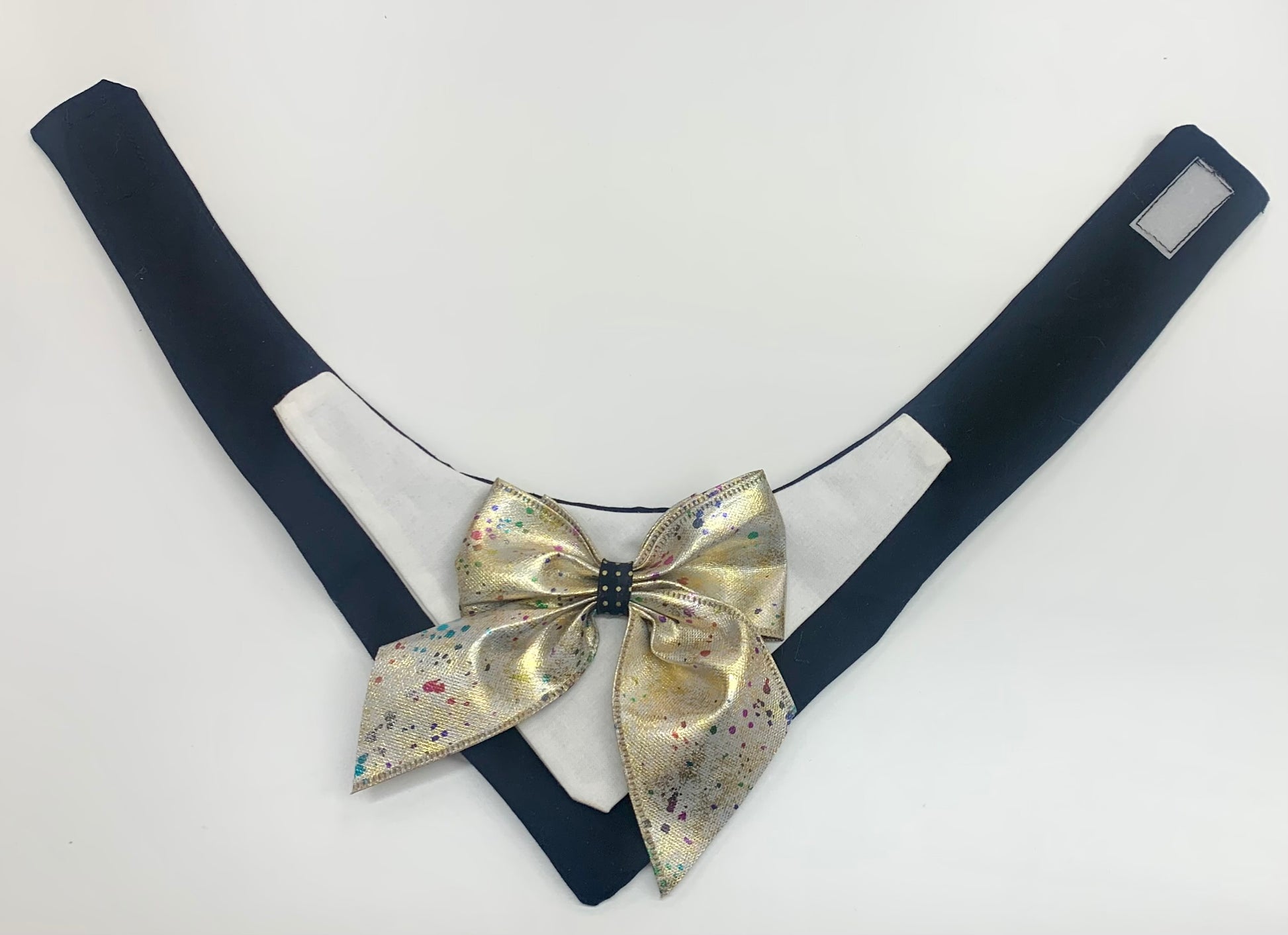 large dog tuxedo. black and white and gold bow