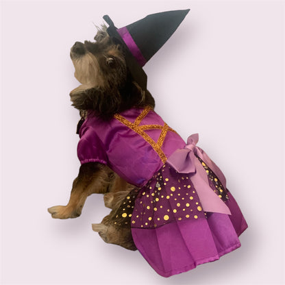 witch dress for dogs and cats with bow and hat